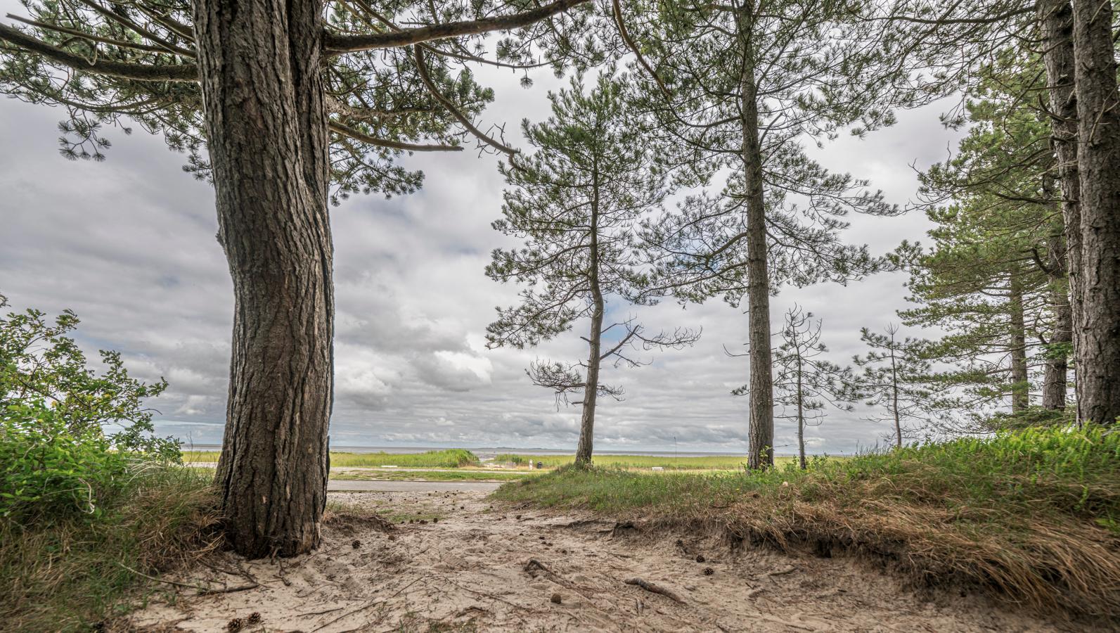 cuxhaven home slide2 3